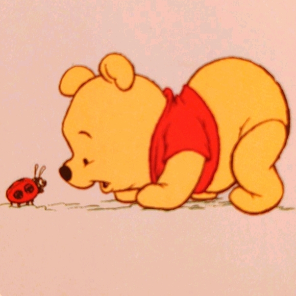 Meet your Posher, Bee - Picture 1 of 1